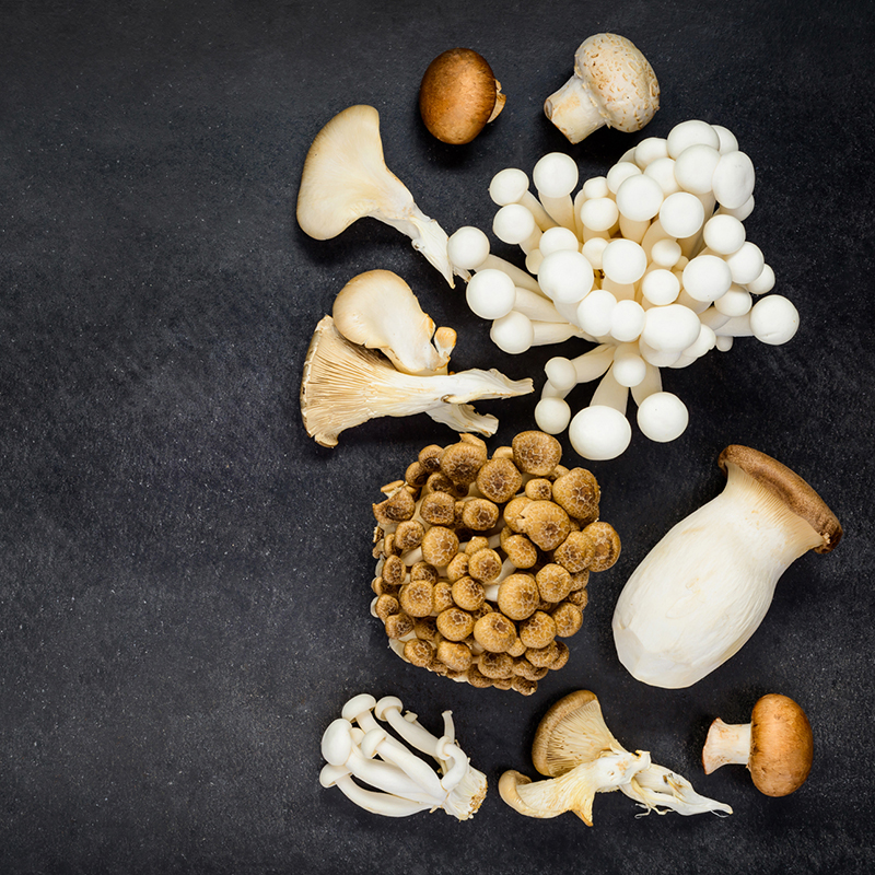 mushrooms a rich source of the antioxidants ergothioneine and glutathione Amazon.com: Mushroom Complex Capsules Supplements, 9 in 1 with L- Ergothioneine, Glutathione, Lions Mane, Reishi, Cordyceps, Organic Mushroom  Extracts for Immune & Antioxidant Support 120 Counts-Non GMO, Vegan :  Health & Household main image 1